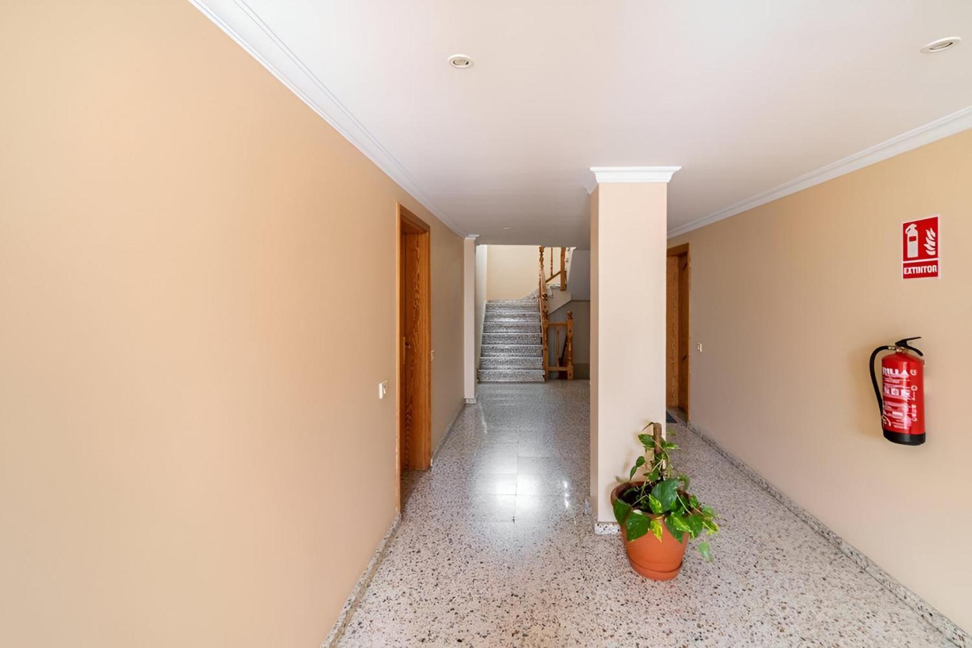 Lovely House In Gran Canaria Next To The Airport 梅莱纳拉 外观 照片